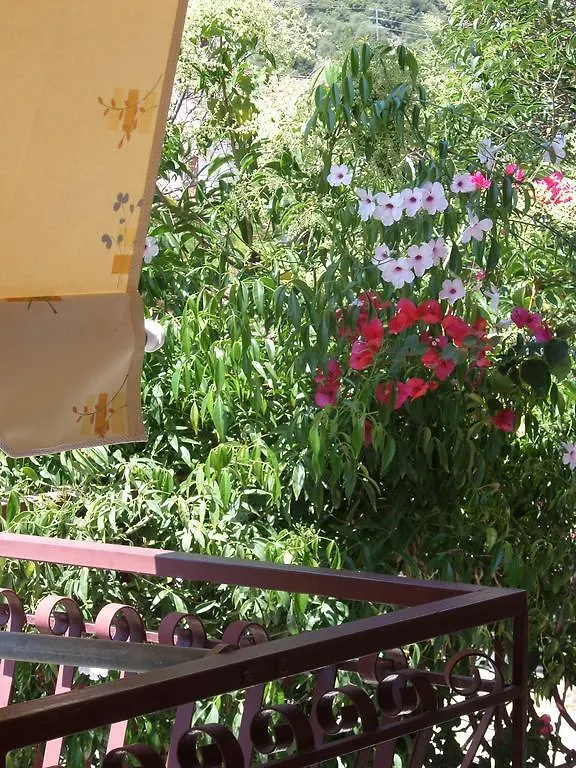 Stamoulis Apartments Agia Efimia